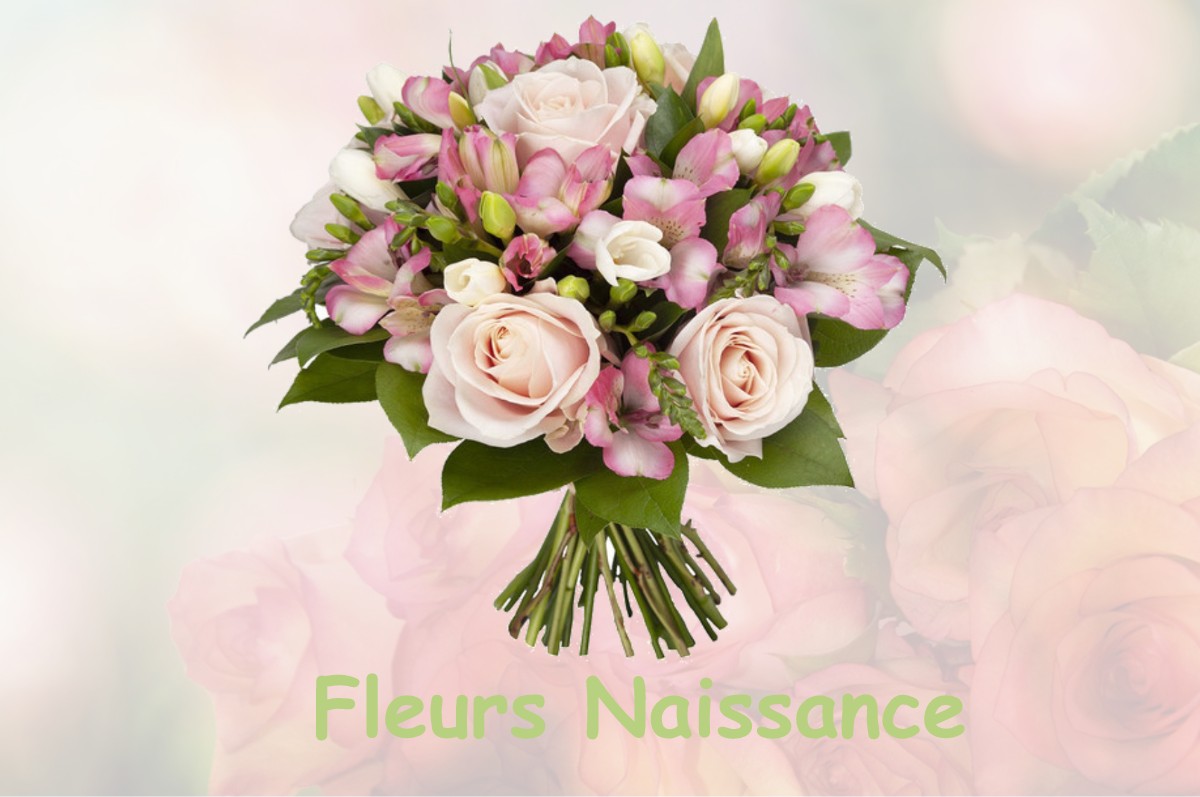 fleurs naissance ANNECY-LE-VIEUX